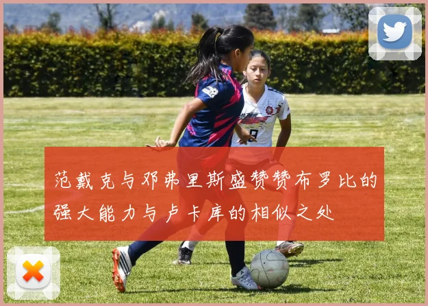 范戴克与邓弗里斯盛赞赞布罗比的强大能力与卢卡库的相似之处